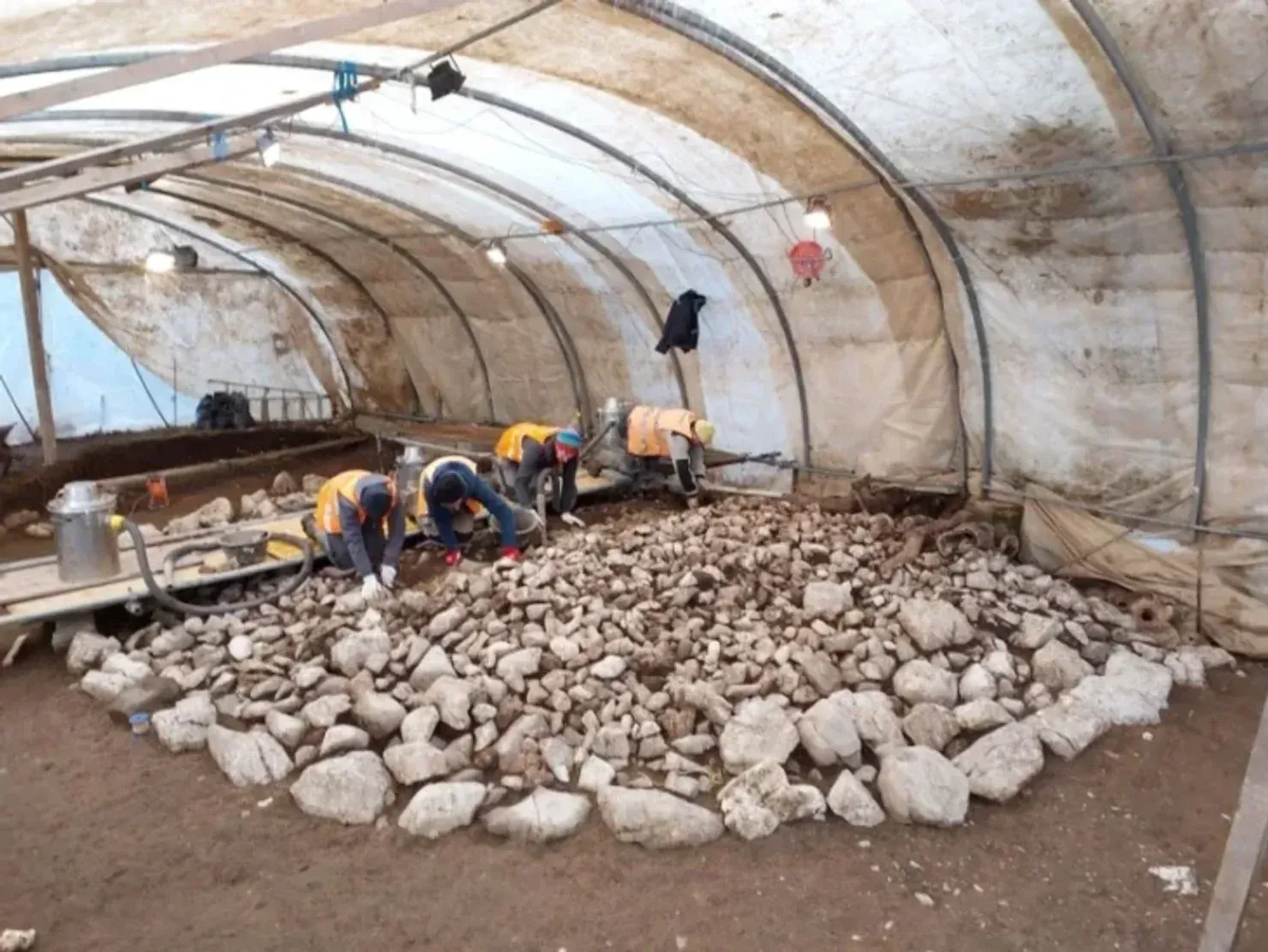 В Швейцарии обнаружили курган железных суток: чем уникален (фото)