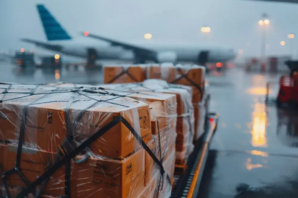 Топ-15 причин затримки рейсів: від поганої погоди та очікування багажу до страйків, зіткнень із птахами та запізнення екіпажу