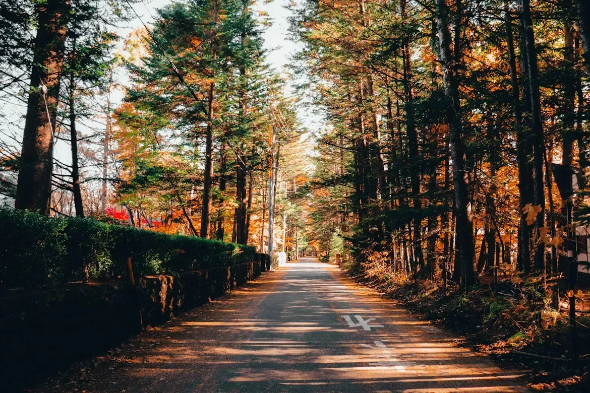 Готель Anantara Karuizawa Retreat відкриється у 2030 році як нова база для відпочинку з Токіо