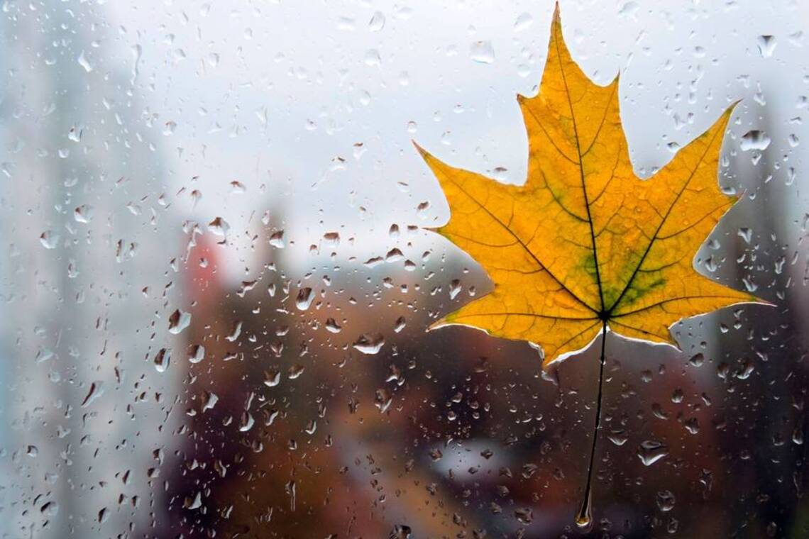 Погода на вихідні: де 3-4 листопада в Україні можливі дощі