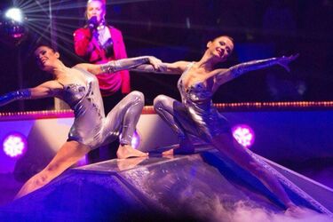 Голе відео з 'Ольгою Глацьких': де ще знімалися гімнастки Джульєтта і Магдалена, що про них відомо (18+)