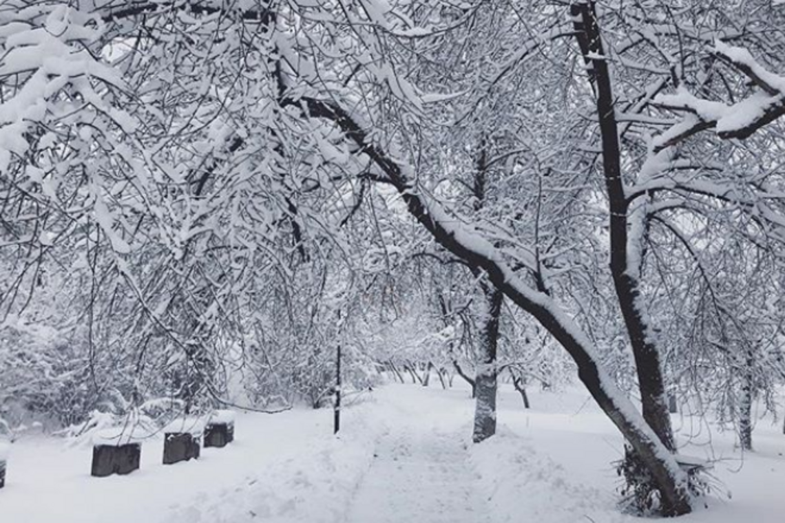 Синоптики пообіцяли Україні сніг і ожеледь: прогноз погоди з понеділка