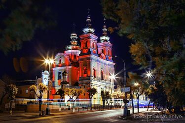 Захоплення храмів УПЦ МП в Україні: в Помісній церкві озвучили план