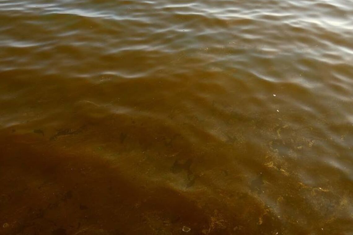 На Чорному морі біля Одеси помітили токсичні масляні плями: фото, відео і версії