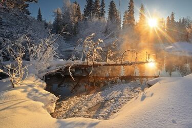 Крещение. Обряды со святой водой от Игоря Мехеды