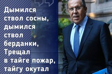 Сергей Лавров опубликовал свои стихи, читатели подозревают, что он сошел с ума