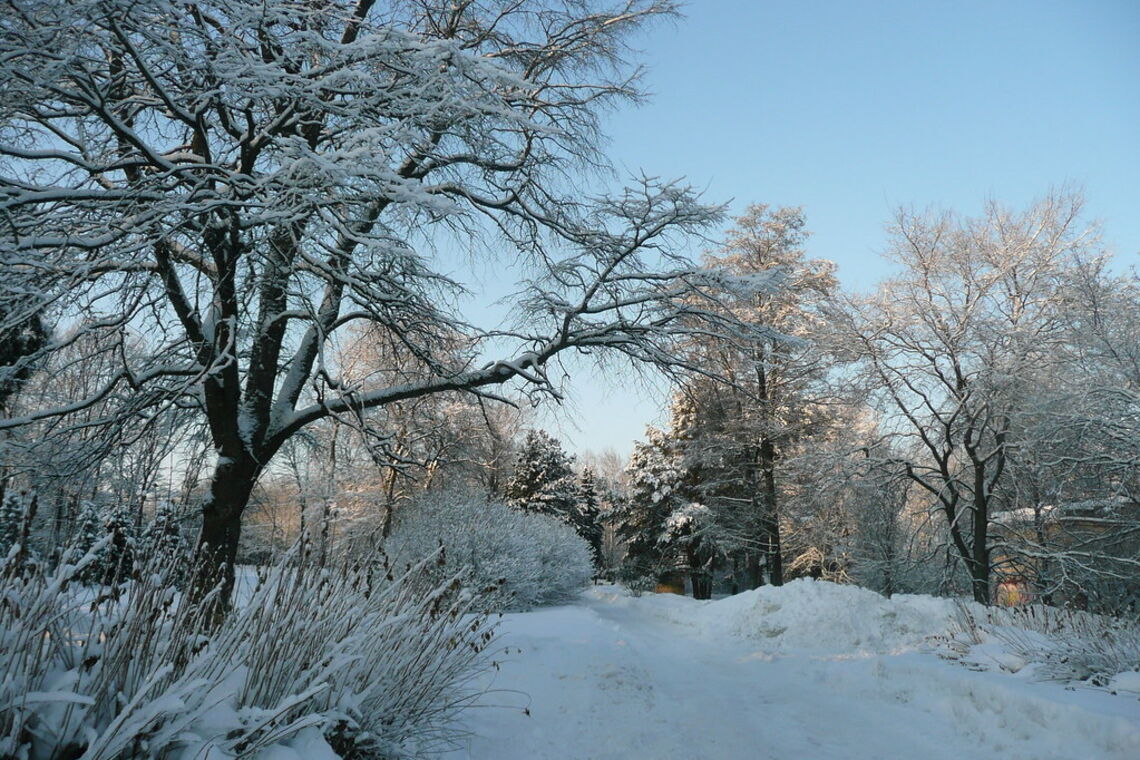 Синоптик дала прогноз на первый день зимы: где в Украине будет солнечно, снежно и до -11