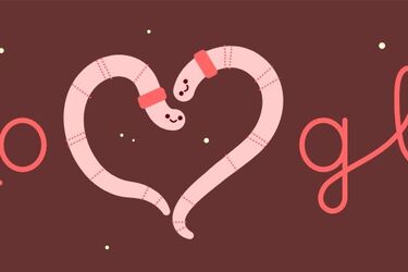 'Влюбленные твари': что натворил Google на День святого Валентина