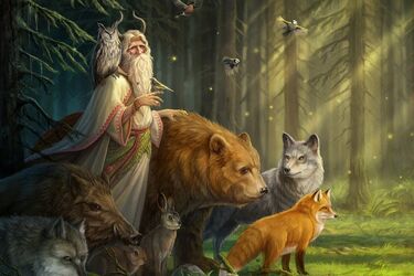 Колодий и Велесов день: маг Мехеда о том, что необходимо сделать