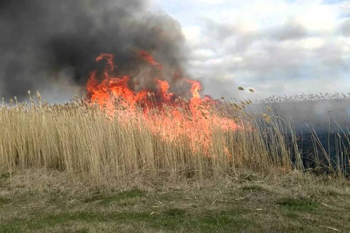 Під Черніговом спалахнув заповідник: пожежу ліквідують авіацією