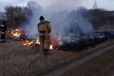 Українці палять траву і гинуть: як трапилася чергова смерть