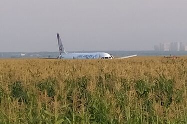 Хто такий Дамір Юсупов і як він врятував літак в Підмосков'ї, фото