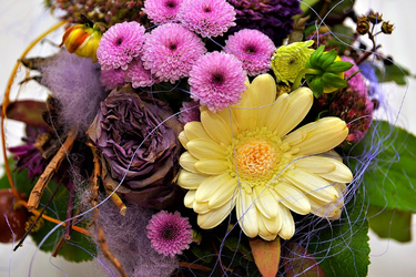 С Днем ангела Татьяны! Лучшие поздравления на Татьянин день в стихах и смс