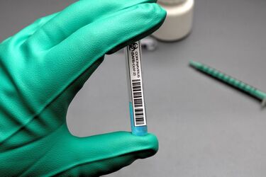Безкоштовний тест на коронавірус: як зробити і куди звертатися