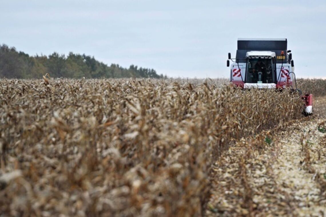 Україна зібрала 64,3 млн тонн зернових, завершується збирання кукурудзи