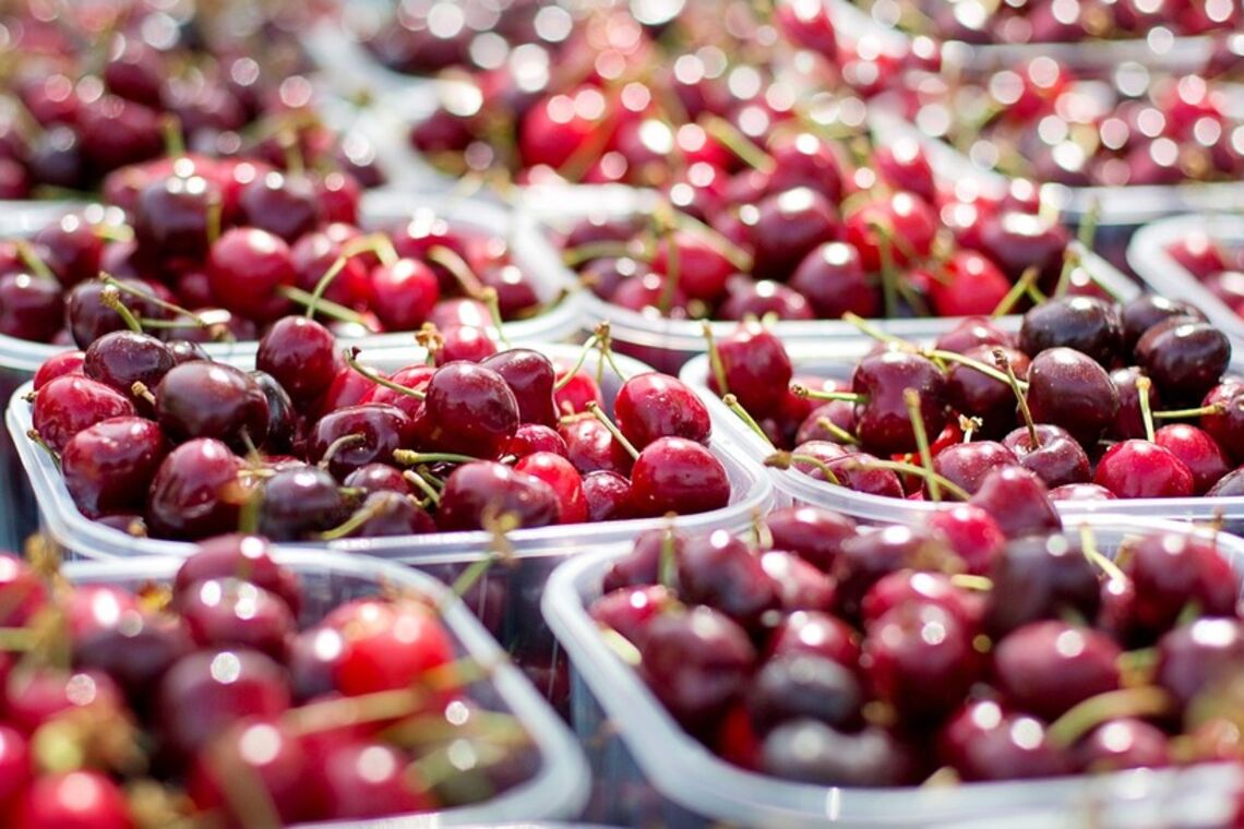 Украина вошла в тройку крупнейших мировых производителей вишни и смородины