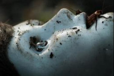 Відгуки про фільм 'Лялька 2: Брамс', рейтинг, дивитися трейлер онлайн