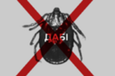 Кабмин принял решение ликвидировать ГАСИ