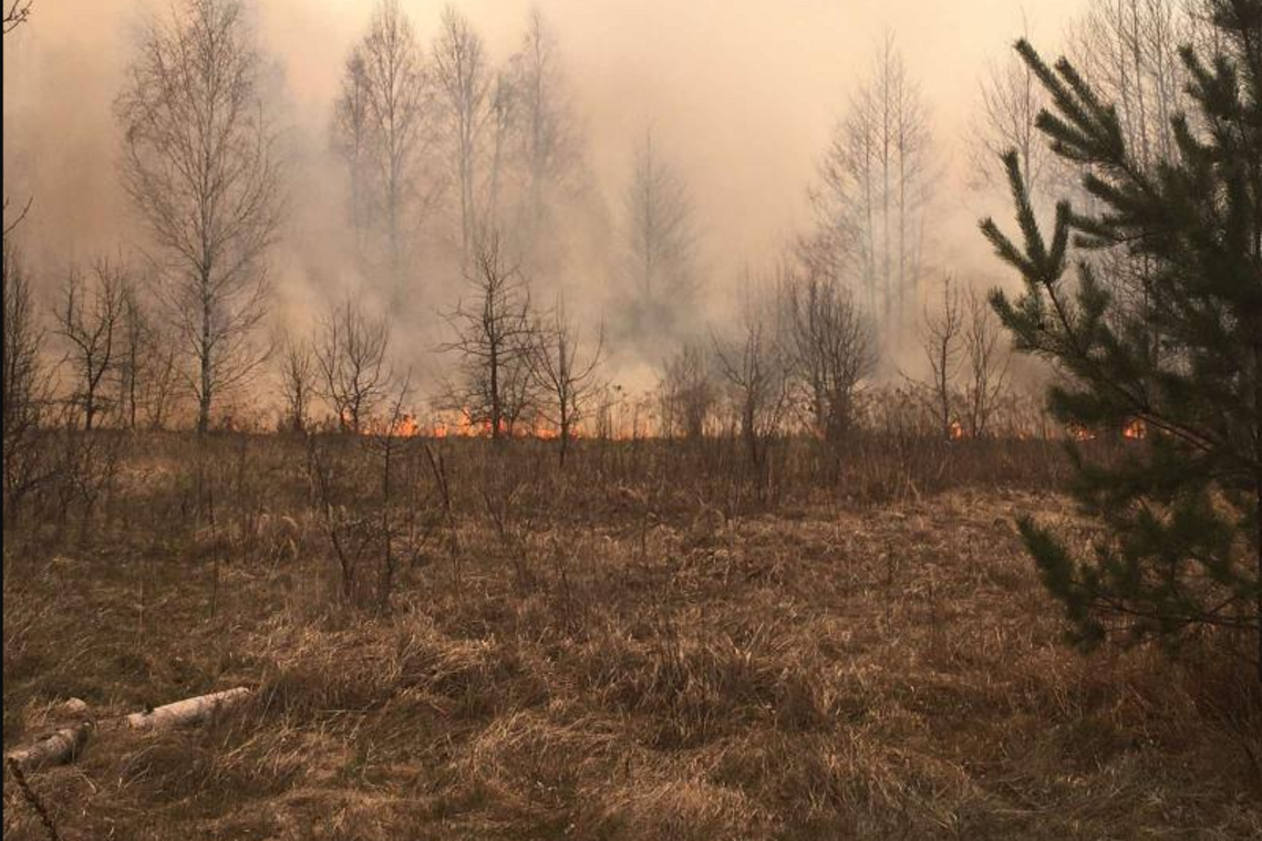 Винуватців масштабних пожеж на Житомирщині затримано
