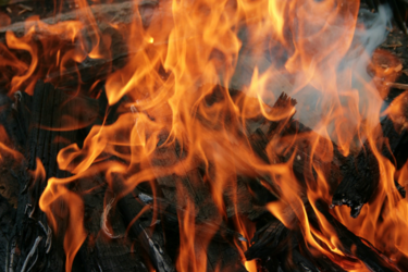 'К зиме выгорит вся страна...' В ГСЧС озабочены пожарами в экосистемах Украины