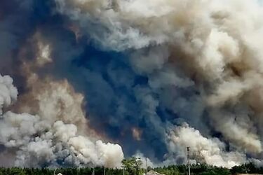 Слишком много подозрительных совпадений в пожарах на Луганщине