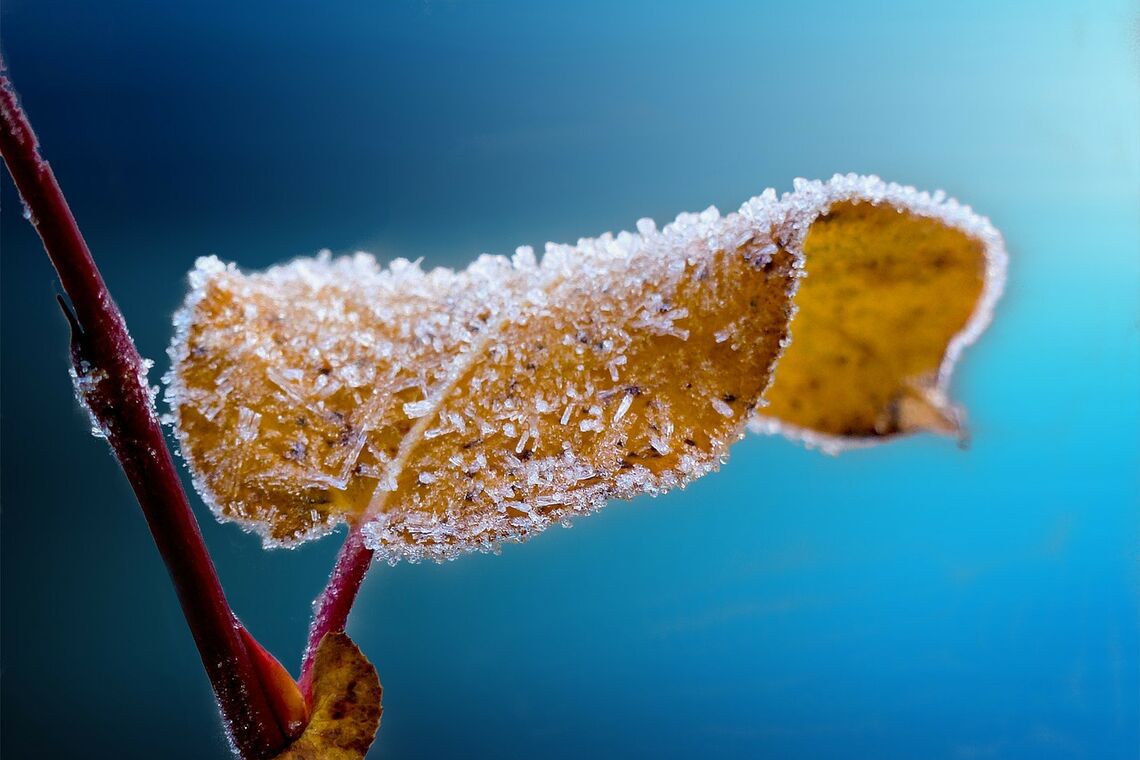 В Украину после снега придут сильные морозы: прогноз погоды