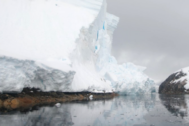 В Антарктиде откололся кусок ледника