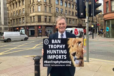 Дэвид Эмесс