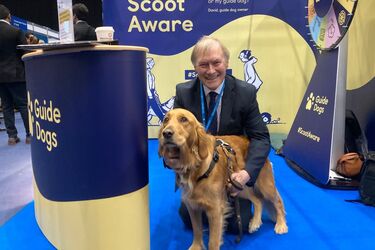 Дэвид Эмесс