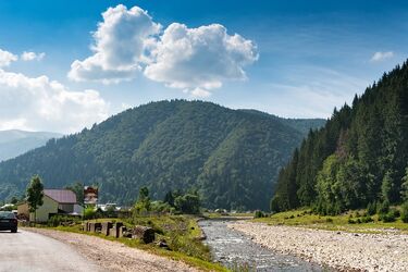 Закарпаття