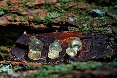 стеклянные амфороподобные бусины