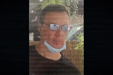 Нібито Віктор Пелевін