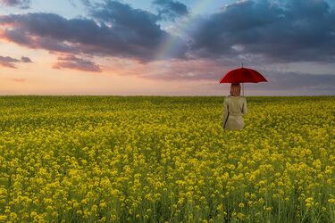 Изнасилованная писательница извинилась перед ошибочно осужденным