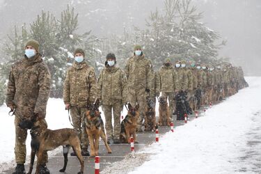 Украинские пограничники