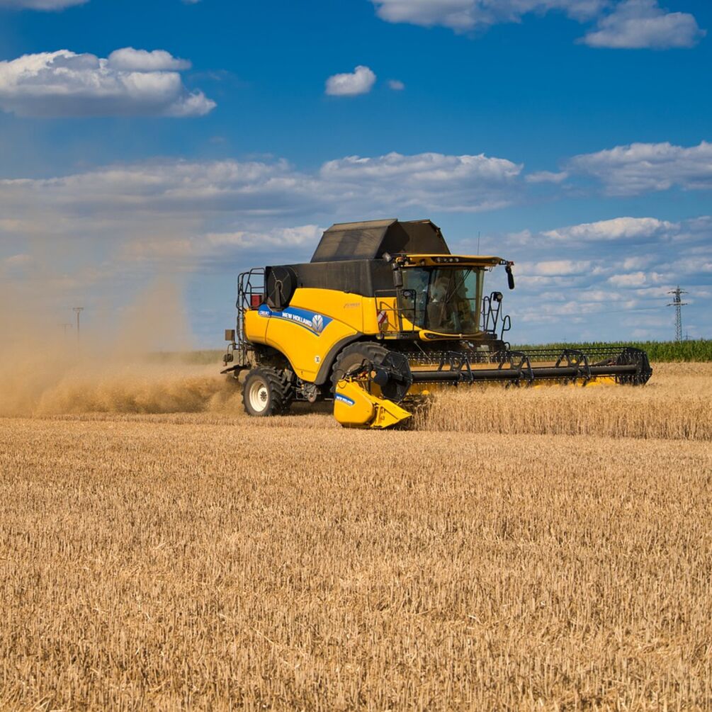Урожай зерновых в Украине на уровне 75,1 млн тонн: прогноз