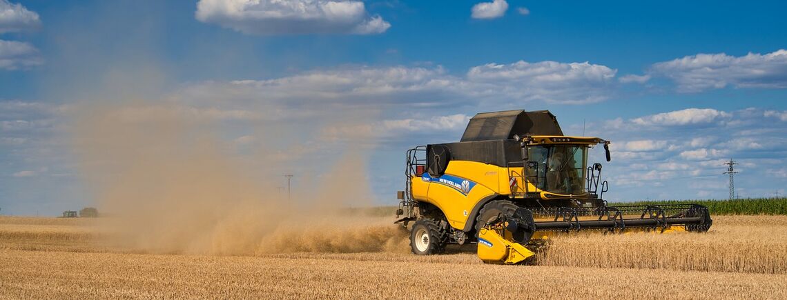 Урожай зерновых в Украине на уровне 75,1 млн тонн: прогноз