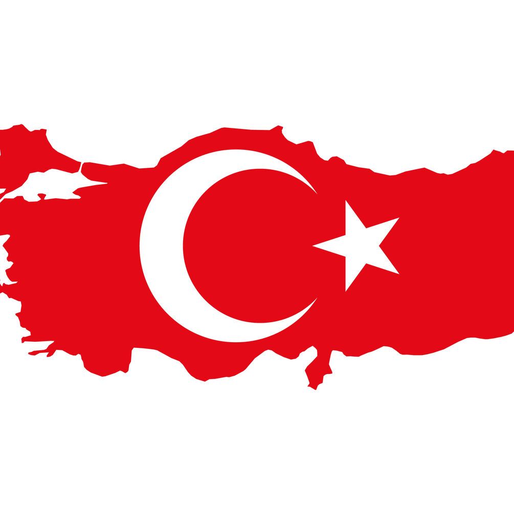 Консульский отдел посольства Украины в Турции не будет работать до 12 сентября