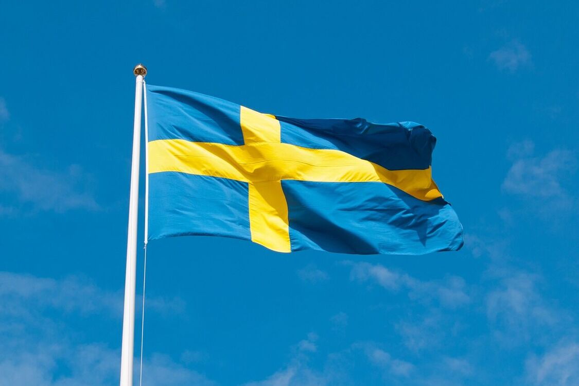 Швецию встревожили дроны над АЭС