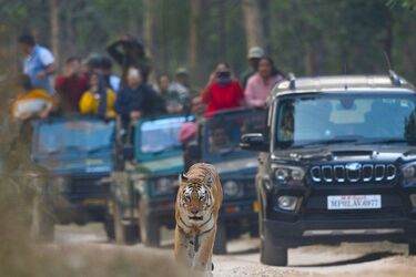 Колларвали