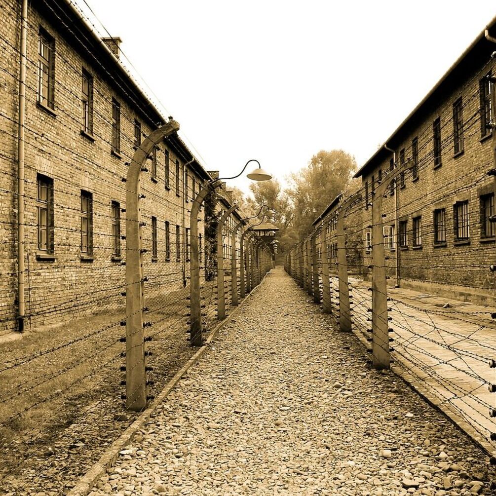 В Польше задержали туристку за нацистское приветствие в Освенциме