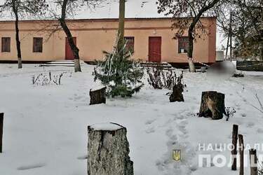 Дискотека в Николаевской области