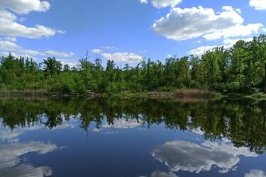 Бабине літо затримається в Україні: синоптики про погоду до кінця тижня