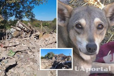 Ракетный обстрел по Запорожью 12 октября - как собака спасла целую семью