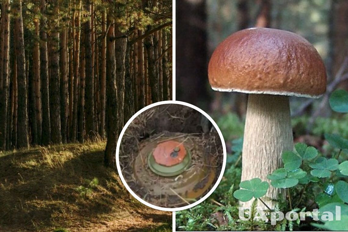 В Киевской области саперы под белым грибом нашли мину