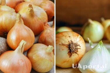 Ріпчаста цибуля – як почистити гриль та іржу