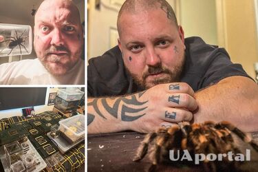 Британець завів вдома 300 павуків за порадою психотерапевта