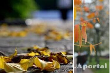 Синоптикиня розповіла, коли в Україні завершиться бабине літо