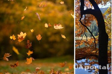 На Покрову в Україні температура повітря опуститься нижче нуля: де буде найхолодніше