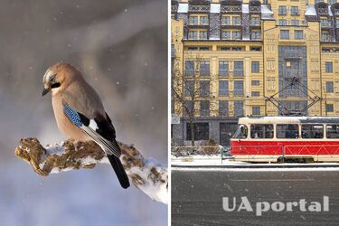 Якою буде зима в Україні у 2022-2023: прогноз експертів