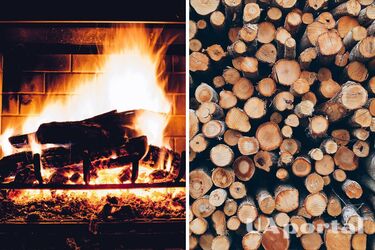 Experts advised which tree is the best for home heating